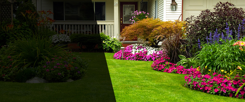 Loretto Landscapers