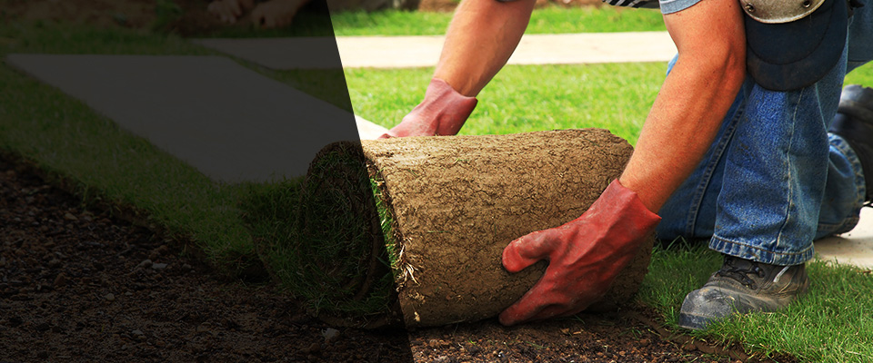 Loretto Landscapers